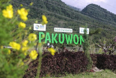   Desa Pajambon di Kuningan Jadi Contoh Transformasi Ekonomi Desa Berbasis Potensi Lokal