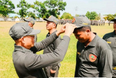 Satlinmas, Menjaga Ketertiban Masyarakat di Wilayah Desa/Kelurahan