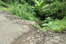 Musim Hujan, Jalan Longsor Belum Diperbaiki