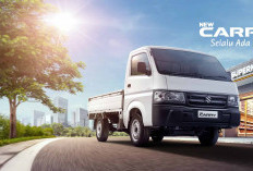 Suzuki New Carry Pick-Up: Pikap Kompak Andal, Efisien, dan Praktis untuk Bisnis