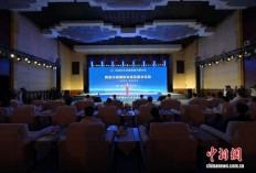   China dan ASEAN Luncurkan Platform Informasi Bisnis dan Perdagangan di Nanning  '