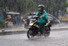   Prediksi BMKG, Minggu ini, Puluhan Provinsi Ini Dilanda Hujan Lebat