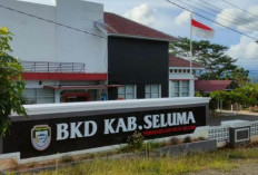 Gaji Perdana PPPK Tahap 1 di Seluma Mulai Disalurkan, Gaji November Masih Diproses