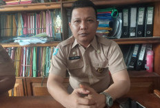   40 SD di Seluma Usulan Prioritas Revitalisasi, DAU 5 Sekolah