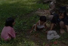 Ibu Merantau ke Malaysia, Lima Bersaudara di Seluma  Harus Bertahan di Tengah Kekurangan