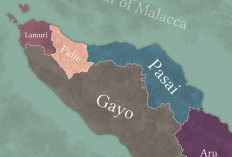 Islam di Nusantara, Dari Samudra Pasai ke Jejak Perlawanan