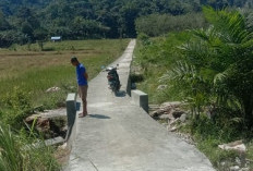 Pemerintah Kelurahan Masmambang, Bangun Jalan Lapen di RT 08 