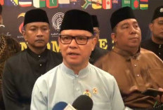 Menteri P2MI Tegaskan Kamboja Bukan Negara Penempatan Pekerja Migran