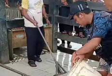 Hujan dan Badai, Hasil Tangkapan Ikan Turun Dratis di Bengkulu Selatan