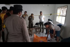 Anggota Satpol PP Provinsi Bengkulu, Ditemukan G4ntung Diri di Kantor