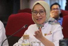 Resmi Ditunda, Berikut Alasan Penundaan Pengangkatan CPNS dan PPPK 2024, Oleh Menpan RB