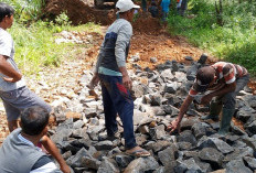 Warga Hargo Binangun, Gotong Royong Bangun Jalan Kabupaten