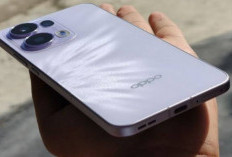 Oppo Reno 15 Series Tawarkan Pilihan Ukuran Layar Berbeda