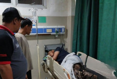Tersambar Petir Saat Menyadap Karet, Satu Pekerja Tewas di PTPN Unit Padang Pelawi Seluma, Dua Alami Luka Baka