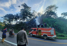 Sehari, Kebakaran Lahan Terjadi di 2 Lokasi