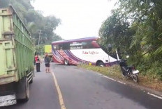 Sopir Bus Putra Raflesia Selamatkan Puluhan Penumpang, Banting Setir Hindari Tabrakan di Seluma