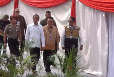 LSI Denny JA, Rilis Survei 10 Tahun Pemerintahan Jokowi, Ada Tiga Rapor Biru