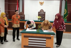 Tekan Angka Pernikahan Dini, DP3APPKB MoU dengan Pengadilan Agama