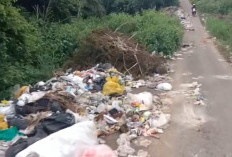 DLH Seluma Bungkam, Sampah Kembali Menumpuk di Belakang Taman Kuliner
