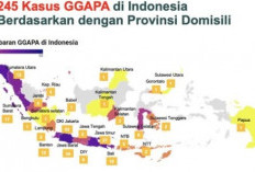 Habiskan Rp 1,9 Triliun, Penyakit Ginjal, Dinilai Jadi Beban BPJS Kesehatan