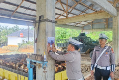 Satlantas Polres Seluma, Wajibkan Penggunaan Jaring pada Truk Sawit