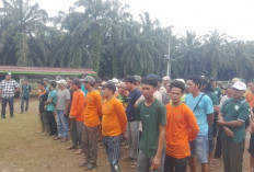 Upah Pemanen PT SIL Naik Jadi Rp140 per Kg, Aksi Mogok Kerja Resmi Berakhir