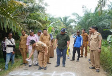 Tahun Ini, Perbaikan Jalan Peraduan Tinggi Ditambah 4 Km