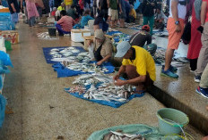 TPI Pasar Bawah, Jual Ikan Segar