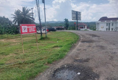Disperkimhub Tertibkan Kendaraan Parkir Liar di Simpang Enam