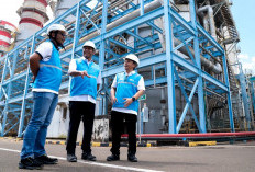 Bank Mandiri Rilis Fitur Sertifikat Pengurangan Emisi untuk Nasabah Retail di Livin’ Planet