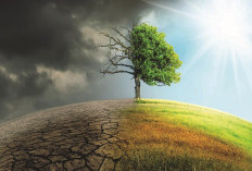 Perubahan Iklim: Tantangan dan Peluang bagi Ekonomi Bisnis serta Inovasi Lingkungan