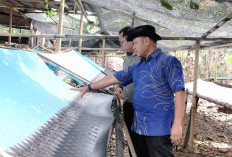 Integrasikan UMKM, BSI Garap Potensi Halal Indonesia