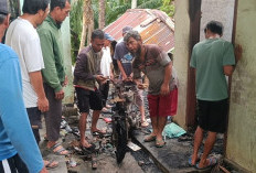 Rumah Orang Tua Youtuber Asal Seluma Ludes Terbakar, Kerugian Capai Ratusan Juta Rupiah