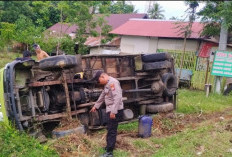 Pecah Ban Depan Kanan, Colt Diesel Bermuatan Kedelai Terbalik di Jenggalu Seluma