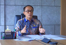 Dituding Menyepelekan PPPK, Kepala BKN Beri Penjelasan Seperti Ini