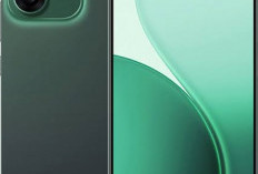 Oppo Reno 14 Series Resmi Rilis, Usung Desain Mewah dan Kamera Canggih
