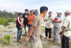 Dilarang BKSDA, Masyarakat Tetap Nikmati Liburan Nataru di Pantai Cemara Indah