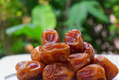 6 Rekomendasi Kurma Premium untuk Menyemarakkan Bulan Ramadan