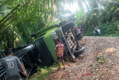   Bawa Material KDMP, Dump Truk Terguling di Desa Pandan Seluma