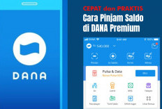Pinjaman Saldo Dana Premium, Solusi Keuangan Cepat dan Praktis