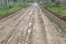 Jalan Menuju Desa Taba Lubuk Puding, Rusak Parah