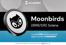 Kripto Moonbirds (BIRB) Listing di INDODAX!