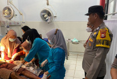 Diduga Duel Dikebun Kopi, Bapak Dan Anak Di Seluma Kena Bacok