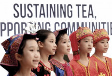  Budaya Teh Hutan Hujan dari Wuzhishan, Tiongkok, Hadir Perdana di Roma