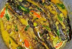 Mangut Lele, Kuliner Khas Yogyakarta yang Pedas, Simak Cara Buatnya