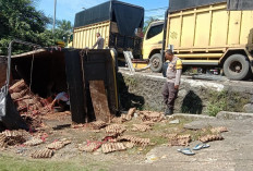  Diduga Ngantuk, Truk Pengangkut Telur Terguling di Ruas Jalan Napalan Seluma