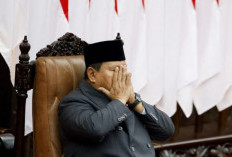 Deklarator Projo Minta Prabowo Lakukan Evaluasi dan Copot Menteri Pembuat Gaduh