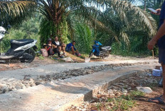 Pemdes Kampai, Bangun Jalan Rabat Beton 325 Meter