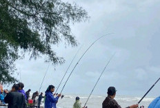 Lomba Mancing Pasiran, Jadi Daya Tarik di HUT BS