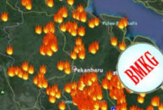 BMKG, Deteksi 321 Hotspot di Sepanjang Sumatera